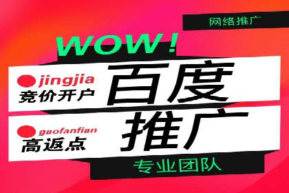 SEM竞价托管：精准定位案例解析