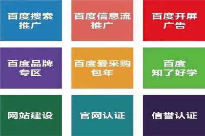 搜索引擎广告（SEM）在本地化推广中的运用案例